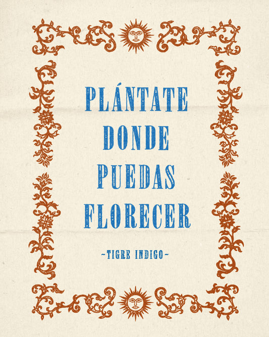 PLÁNTATE FLORECER