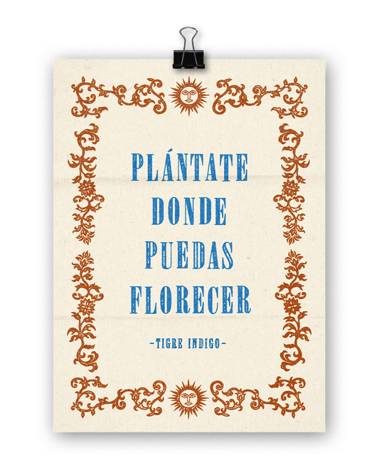 Print por Colombia - Plántate donde puedas Florecer